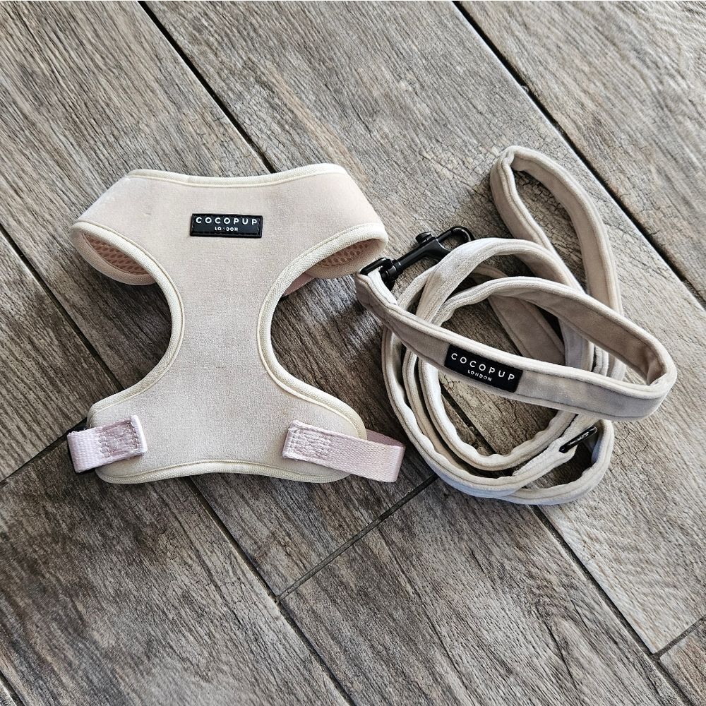 Cocopup Luxe Velvet Adjustable Neck Harness and Leash Set - Champagne Size XS